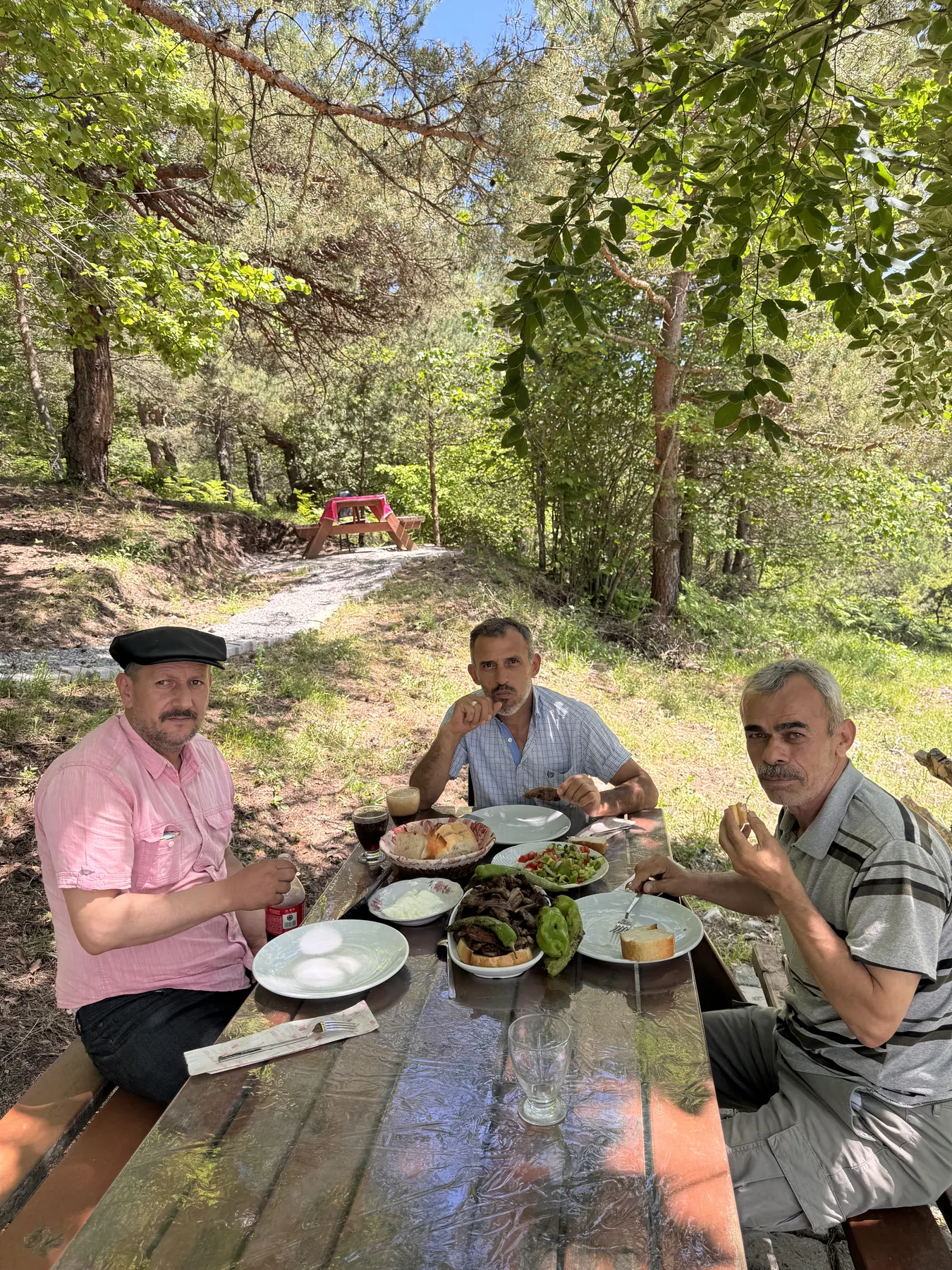 Niksar doğasında açık hava piknik ve mangal masası